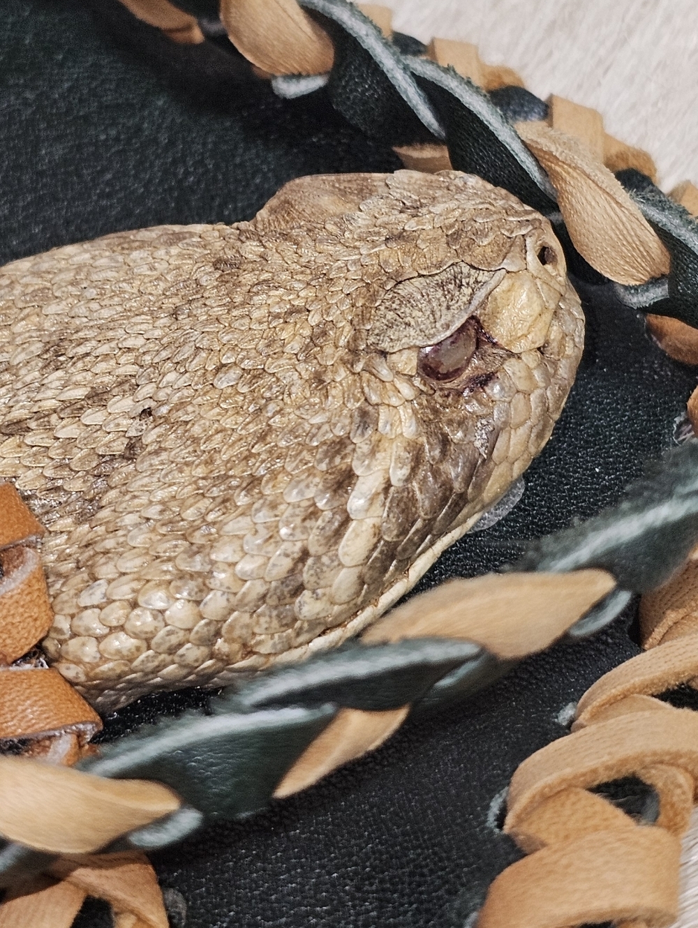 Rattlesnake Purse with Leather Braided Trim - Tan & Black - Picture 14 of 17